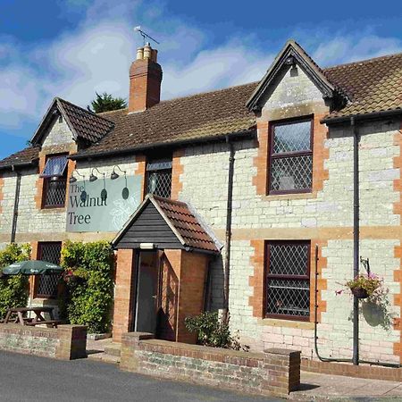 Hotel Oyo The Walnut Tree West Camel Exterior foto